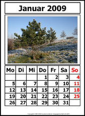 1-Kalender-N-09-Januar.jpg